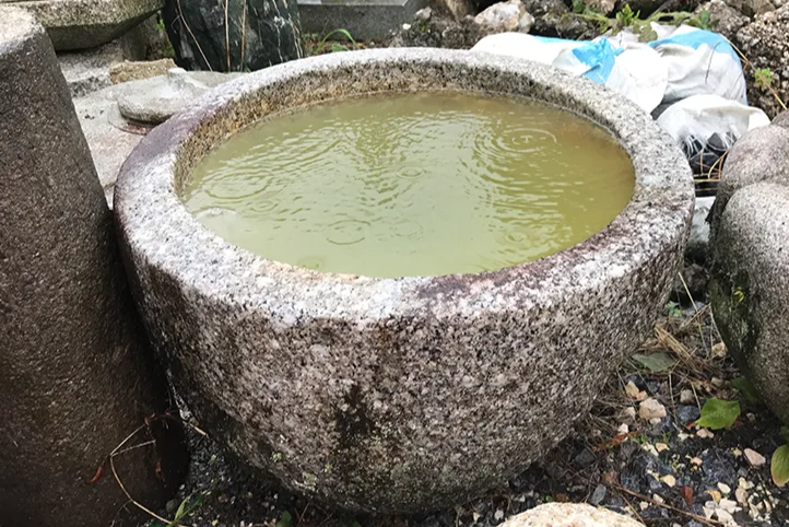 水鉢 【一点もの】