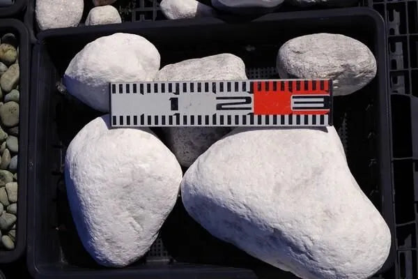 ホワイトコブルロック 150-250mm