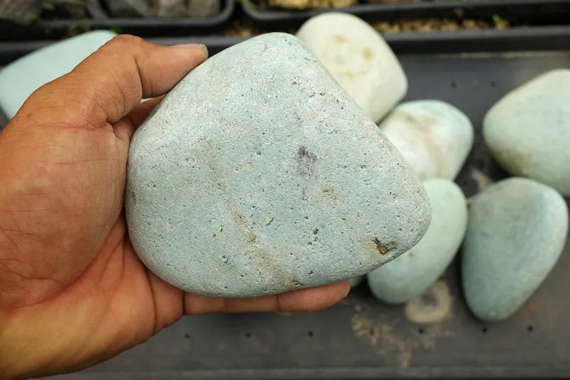 エメラルドコブル 100-150mm – 揖斐川庭石センター