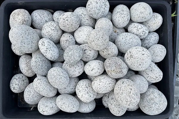 まんまる石 50-60mm – 揖斐川庭石センター