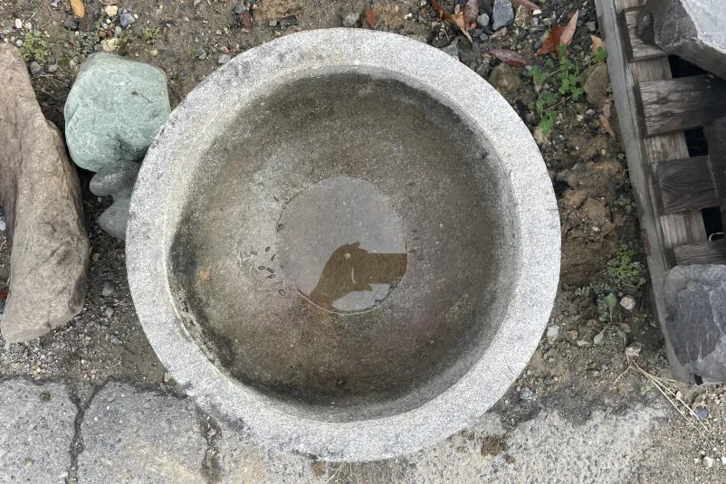 水鉢 つき臼 【一点もの】