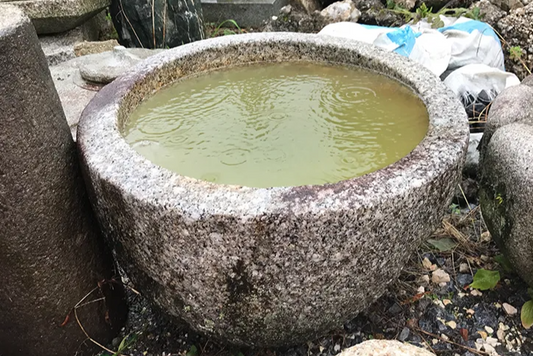 水鉢　【一点もの】