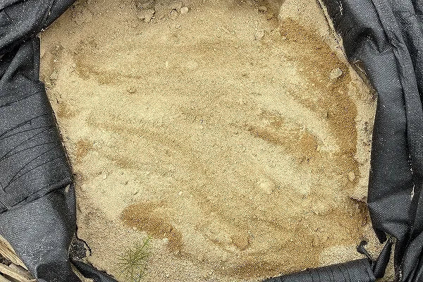 きいろ砂
