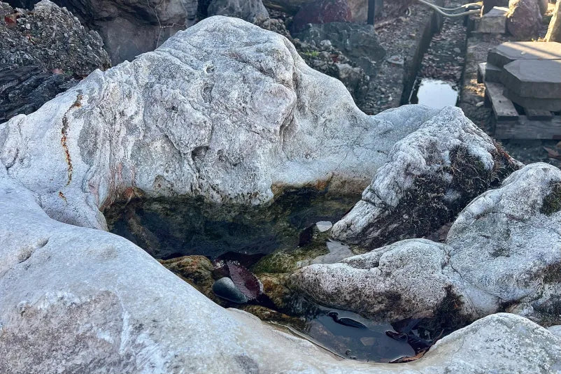 高山石　水鉢