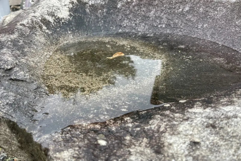 庵治石　水鉢　[8]