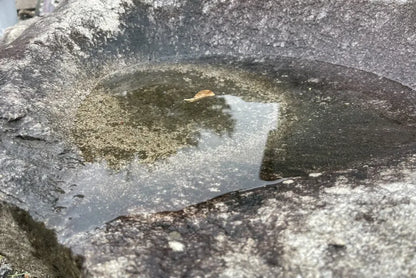 庵治石　水鉢　[8]
