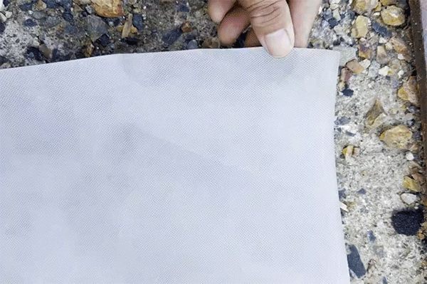 スミリンセパレートシート　1ロール(1m*50m巻)