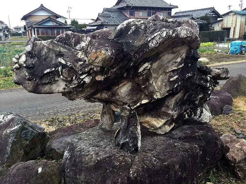 高山石